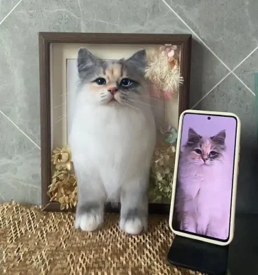 toys-cats