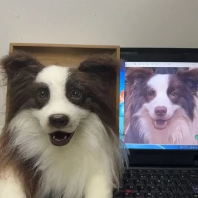 Realistic Wool Felt Pet Art Decor