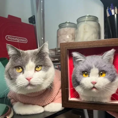 Custom Wool Felt Cat from Photo