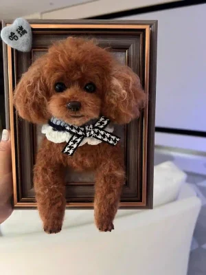Unique handmade wool felt custom pet gift